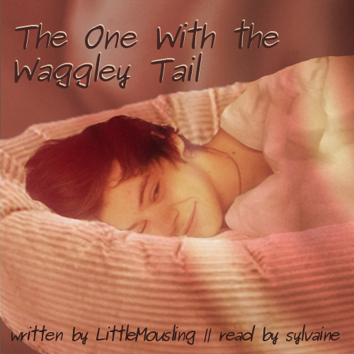 cover of The One with the Waggley Tail