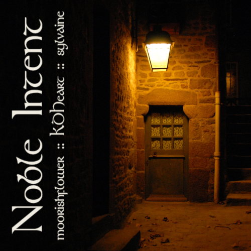 cover of noble intent: a dimly lit back door of a house that looks plausibly old.